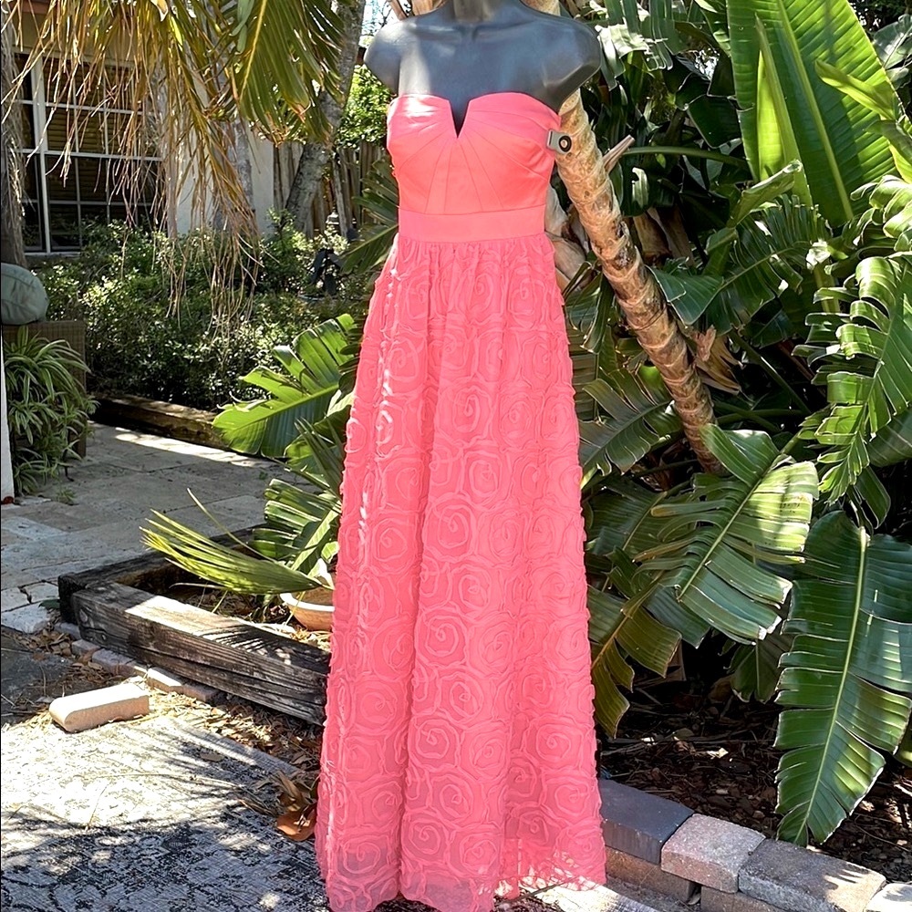 haley Logan by Adriana Papel strapless formal maxi dress